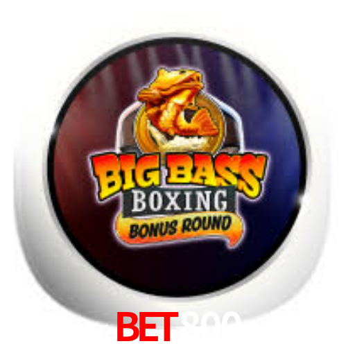 Cassino na plataforma Bet800